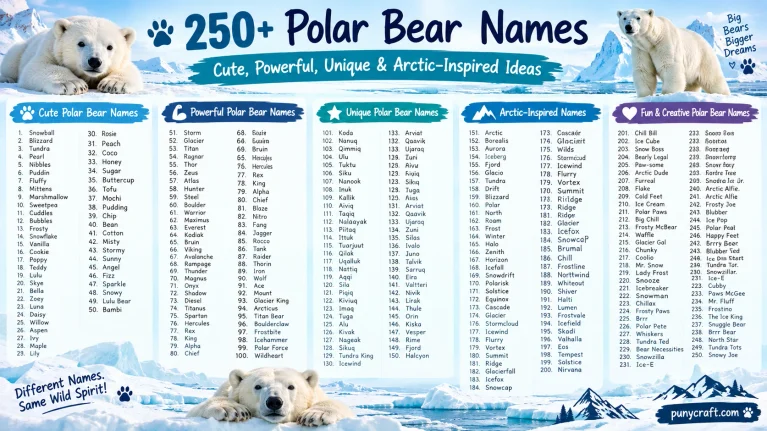 Polar Bear Names