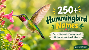 Hummingbird Names
