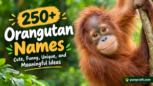 Orangutan Names