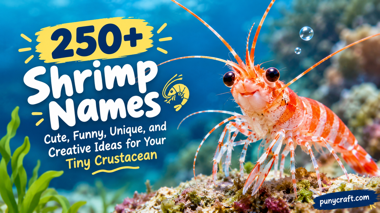 Shrimp Names